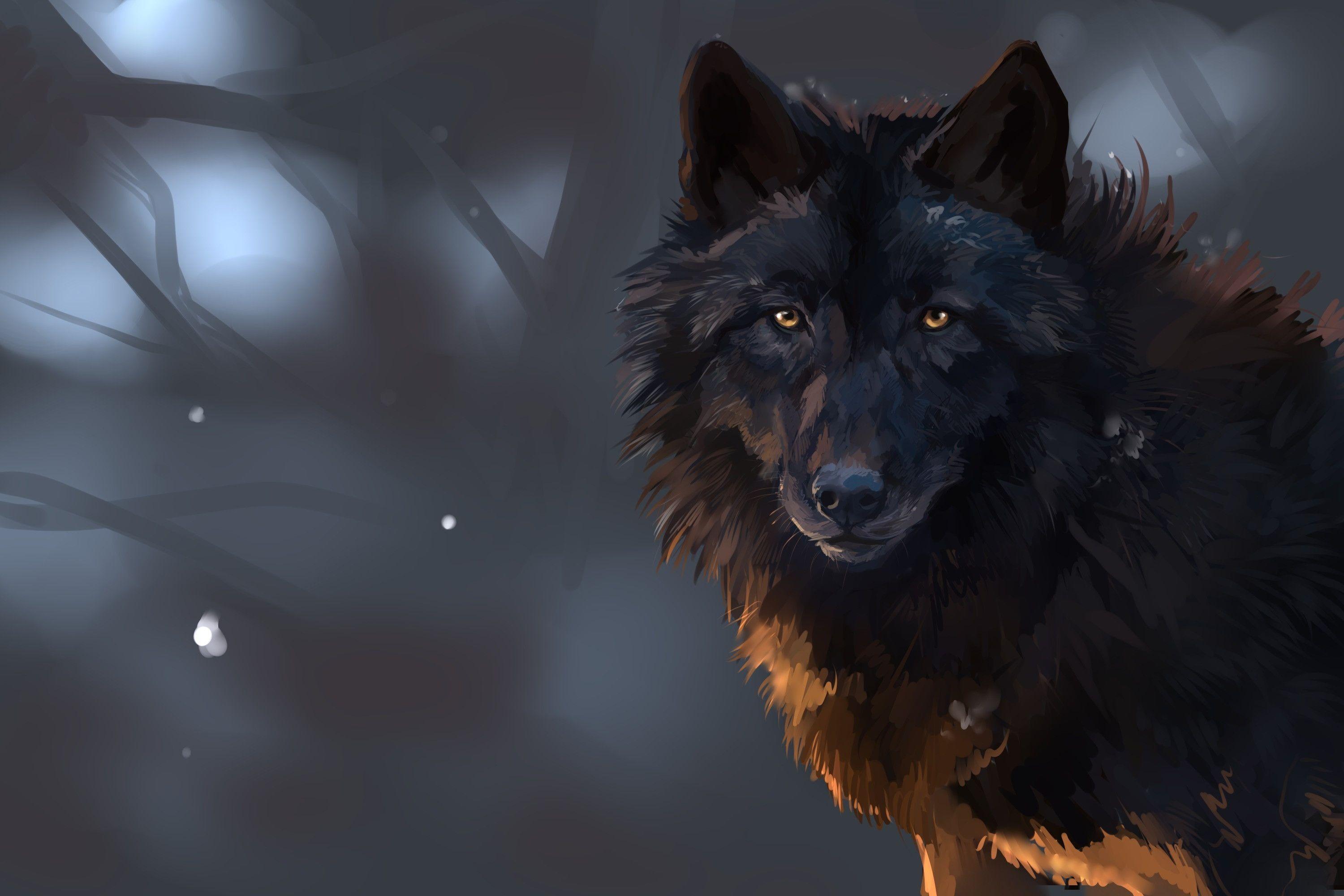 Wolf Wallpaper Hd Desktop - HD Wallpaper 