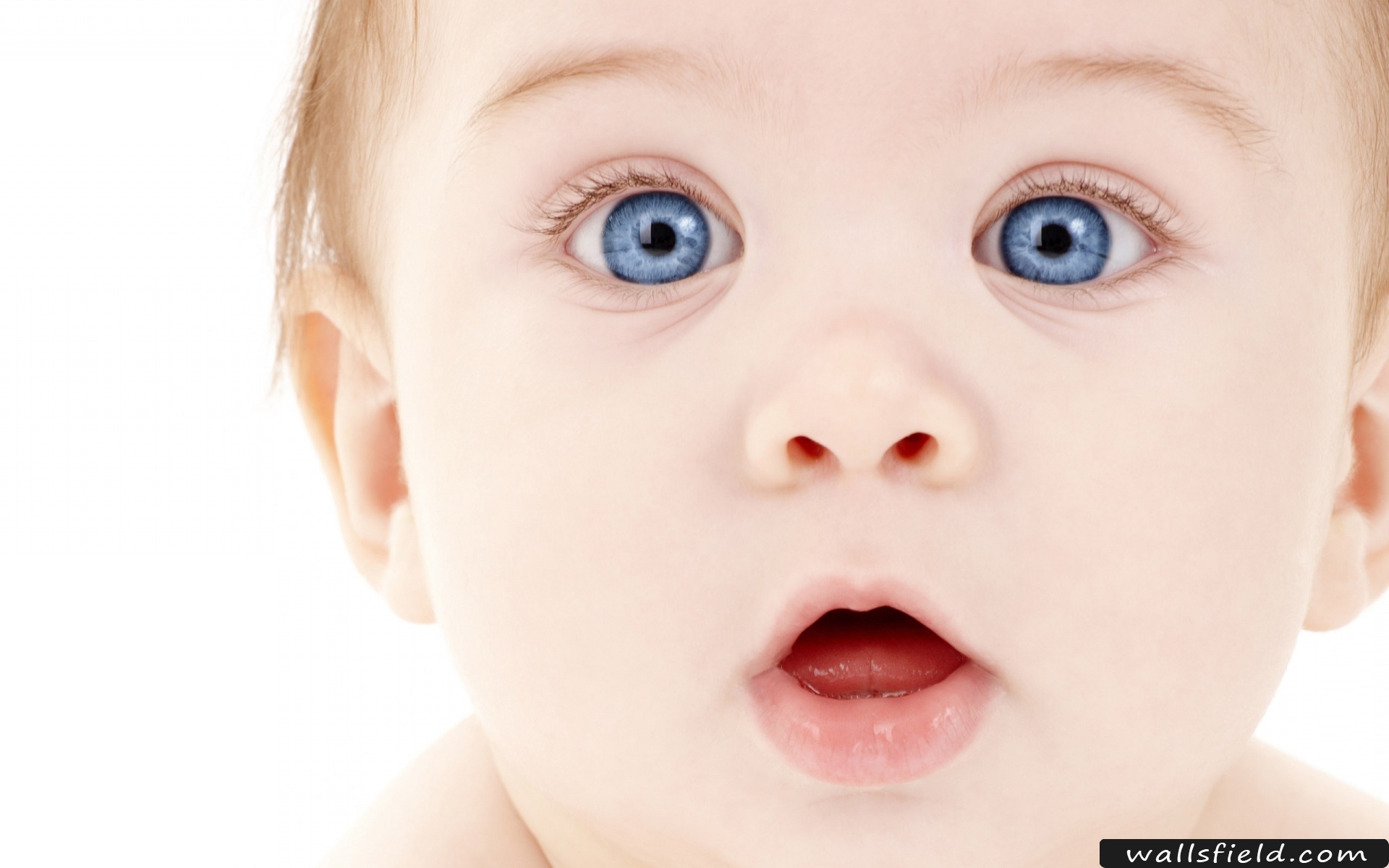 Newborn Blue Eye Cute Baby - HD Wallpaper 