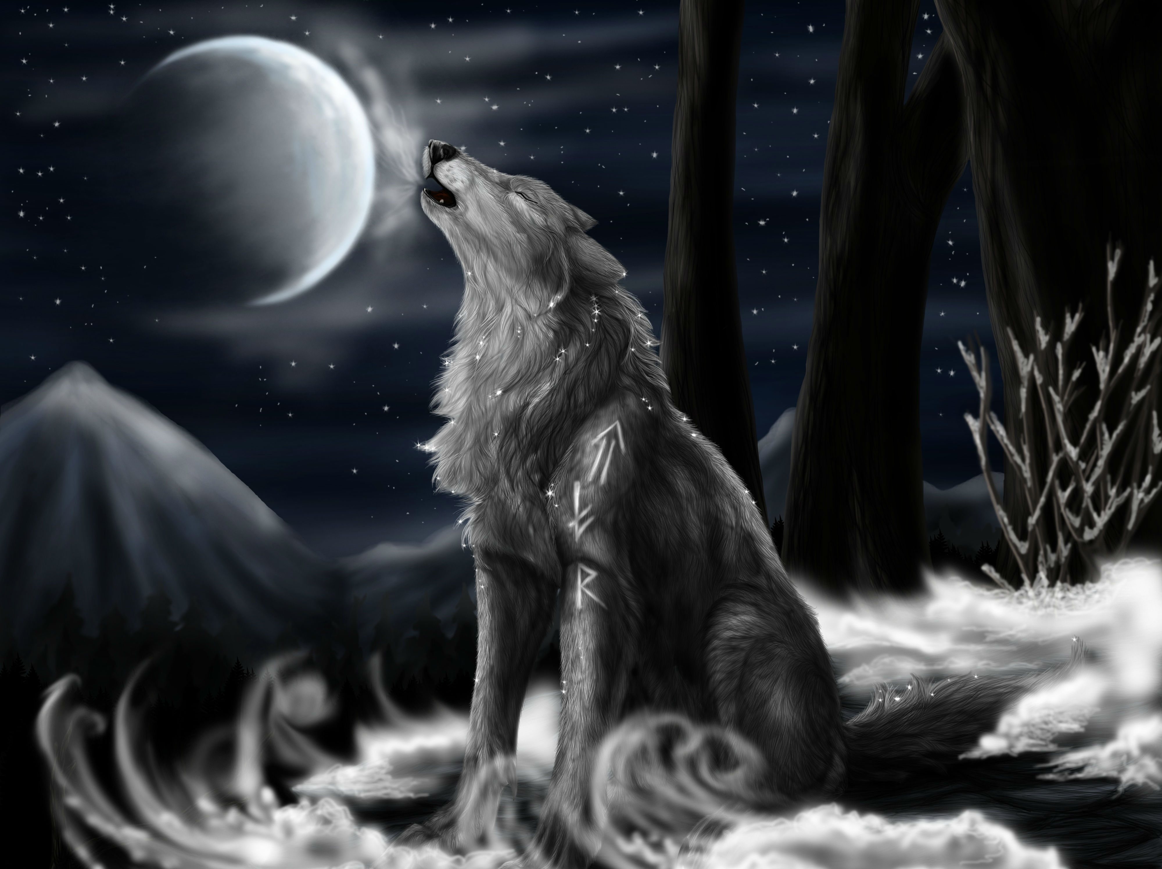 Background For A Wolf Drawing - HD Wallpaper 