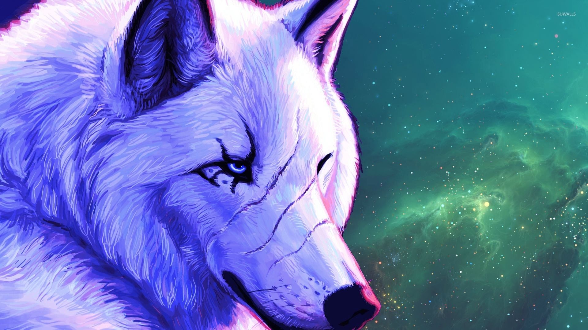 White Alpha Wolf 41728 
 Data Src /img/277785 - White Wolf Alpha Male - HD Wallpaper 