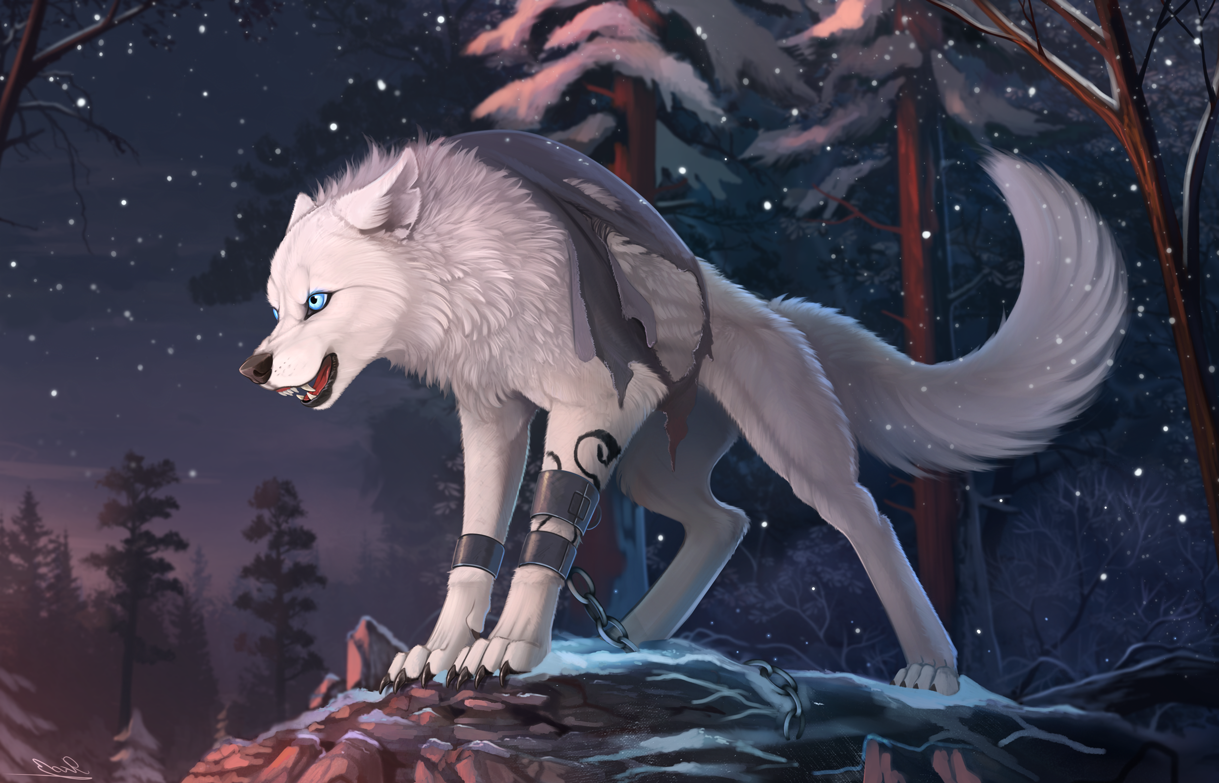 18486 Furry Wolf Wallpaper Data-src /full/1157419 - Furry Wolf Wallpaper Hd - 2460x1580 Wallpaper 18486 Furry Wolf Wallpaper Data-src /full/1157419 - Furry Wolf Wallpaper Hd - 2460x1580 Wallpaper