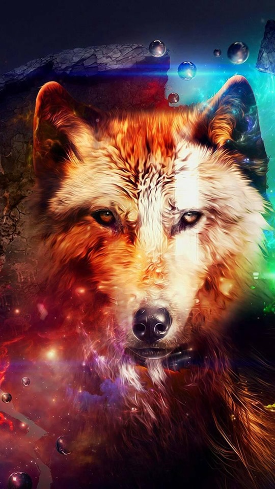 Fantasy Wolf - HD Wallpaper 