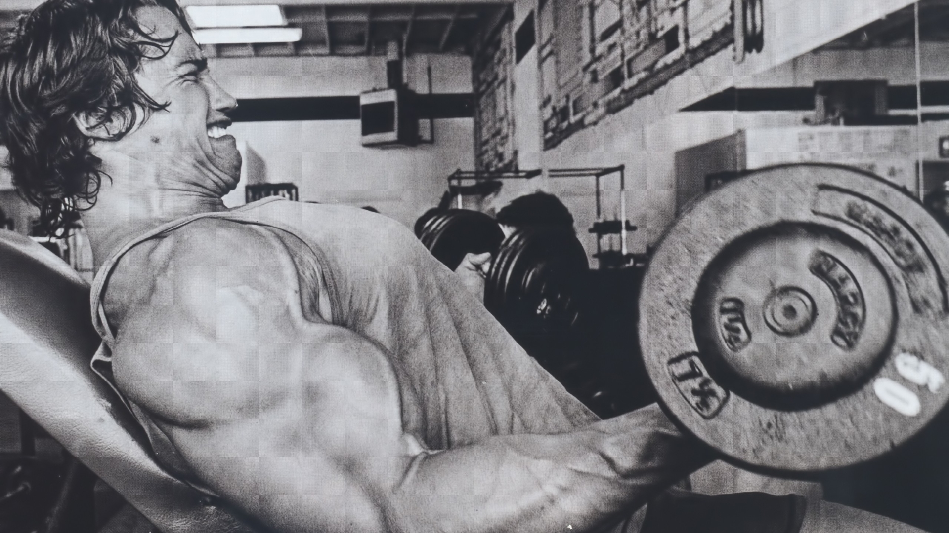 Bodybuilder Hd Wallpaper - HD Wallpaper 