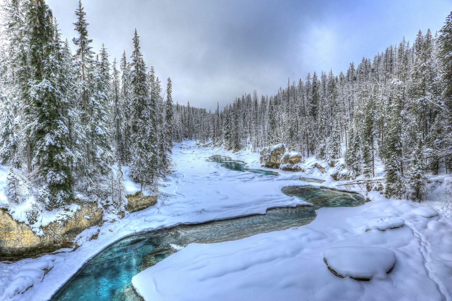 Forests Of Canada Winter - HD Wallpaper 