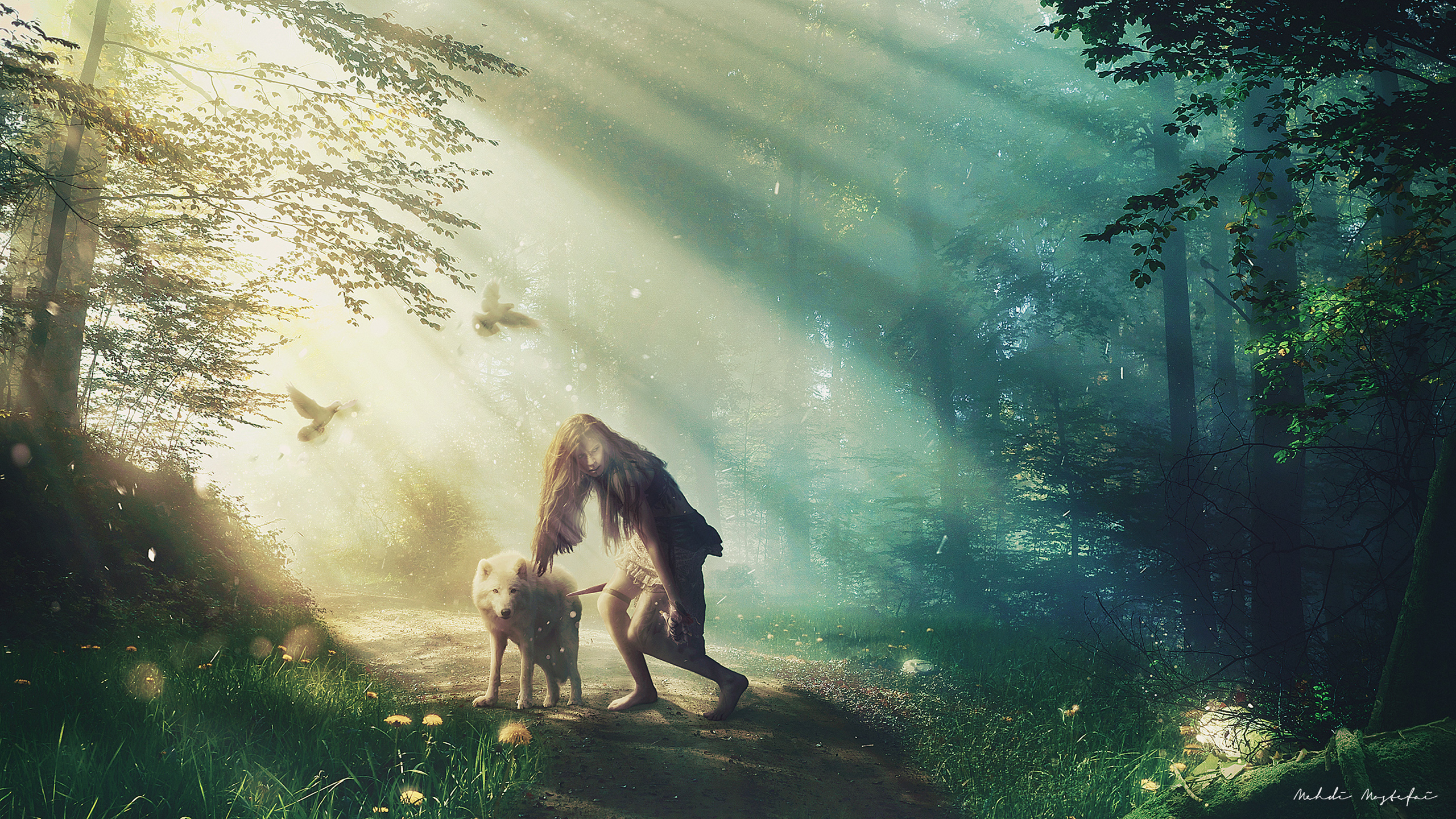 Hunter Arctic Wolf - Wolf Hd - HD Wallpaper 