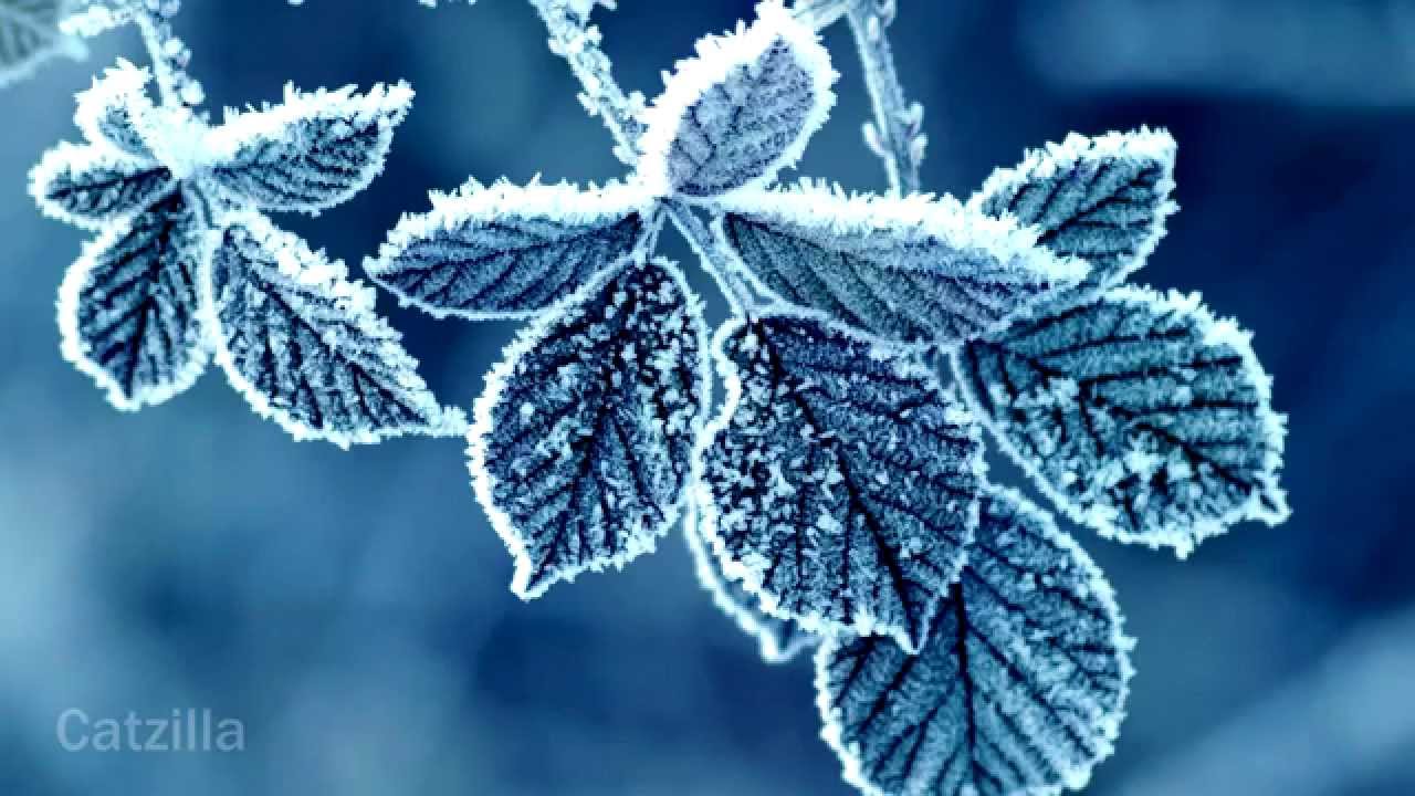 Hd Winter - HD Wallpaper 