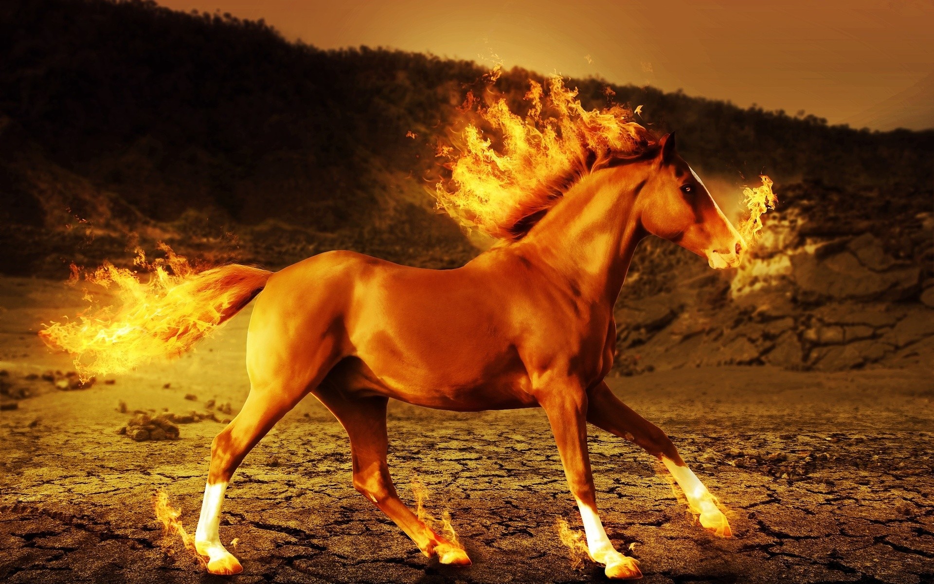 1920x1200, Horse Fire Wallpaper 
 Data Id 151828 
 - Running Horse On Fire - HD Wallpaper 