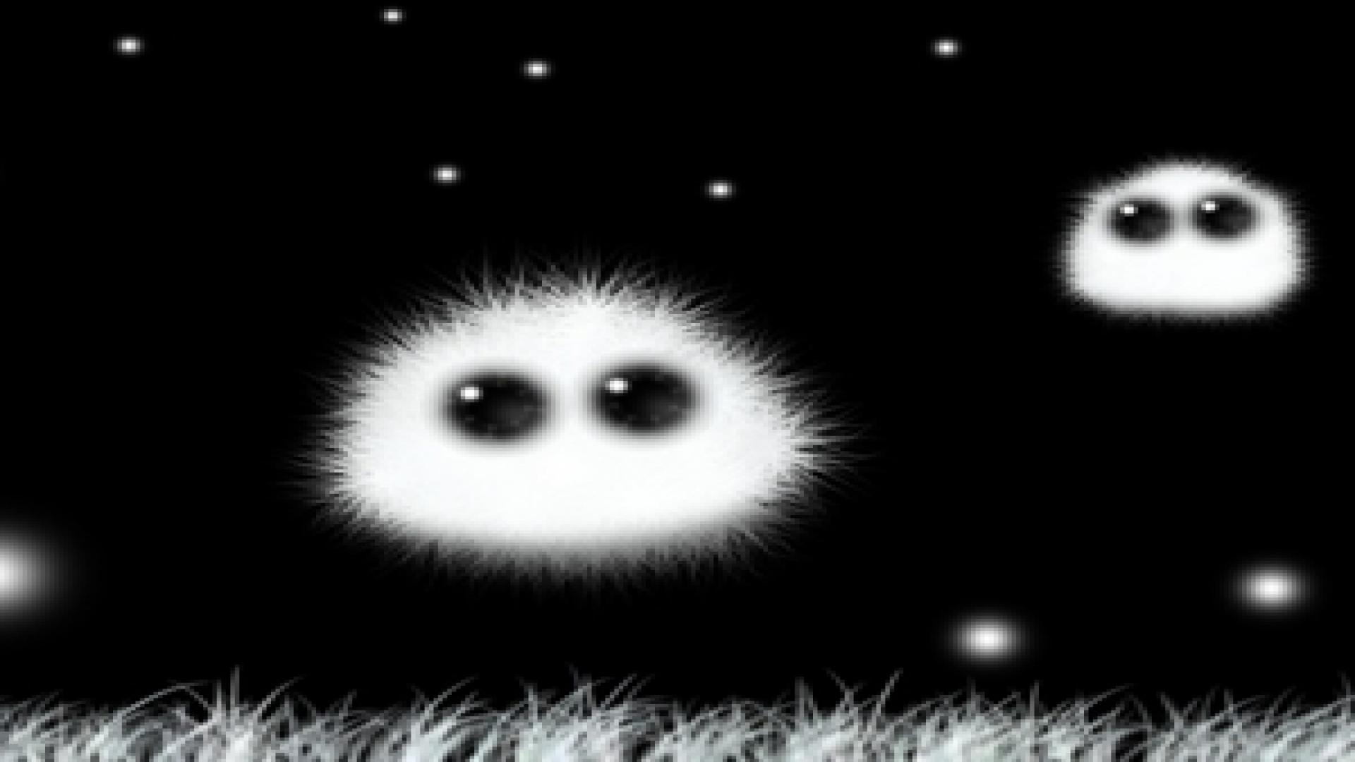 Wallpaper - HD Wallpaper 