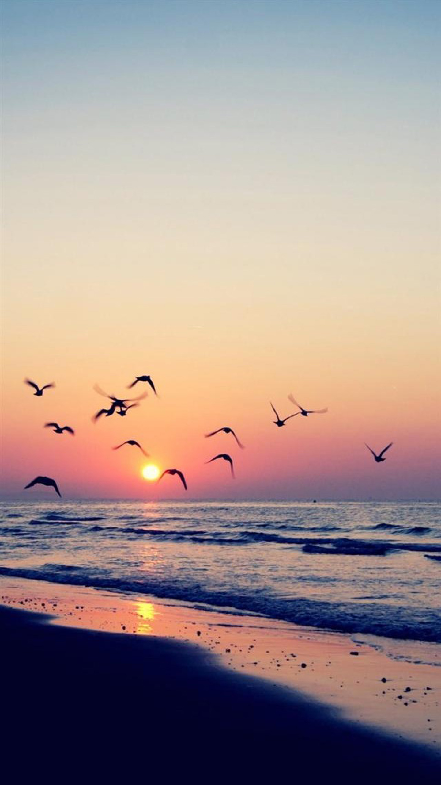 Nexus 6 Wallpaper Hd For Free Wallpaper - Sunset Beach Wallpaper Phone - HD Wallpaper 