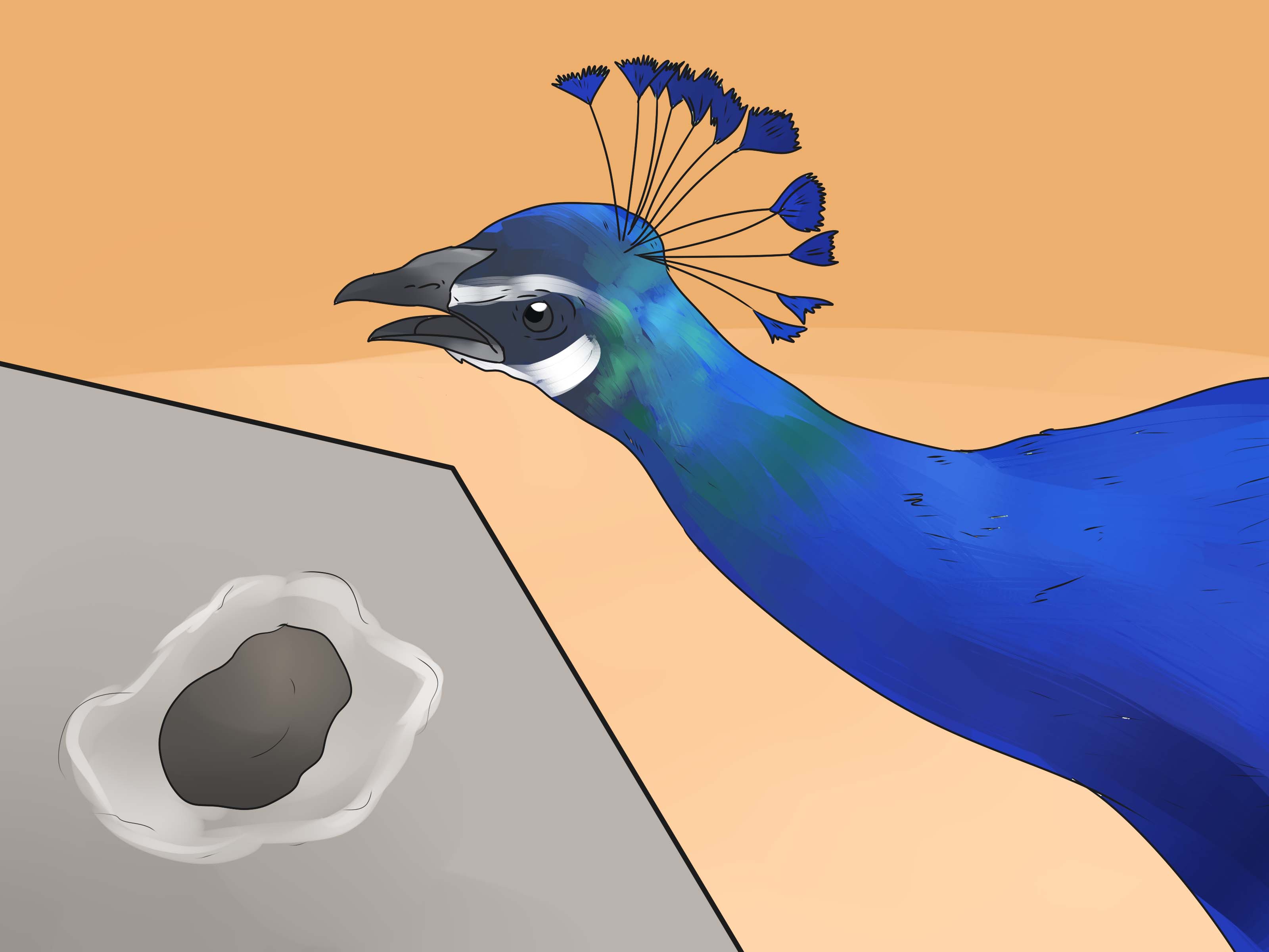 Image Titled Care For Peacocks Step - Pavos Reales Con Las Alas Cortadas - HD Wallpaper 