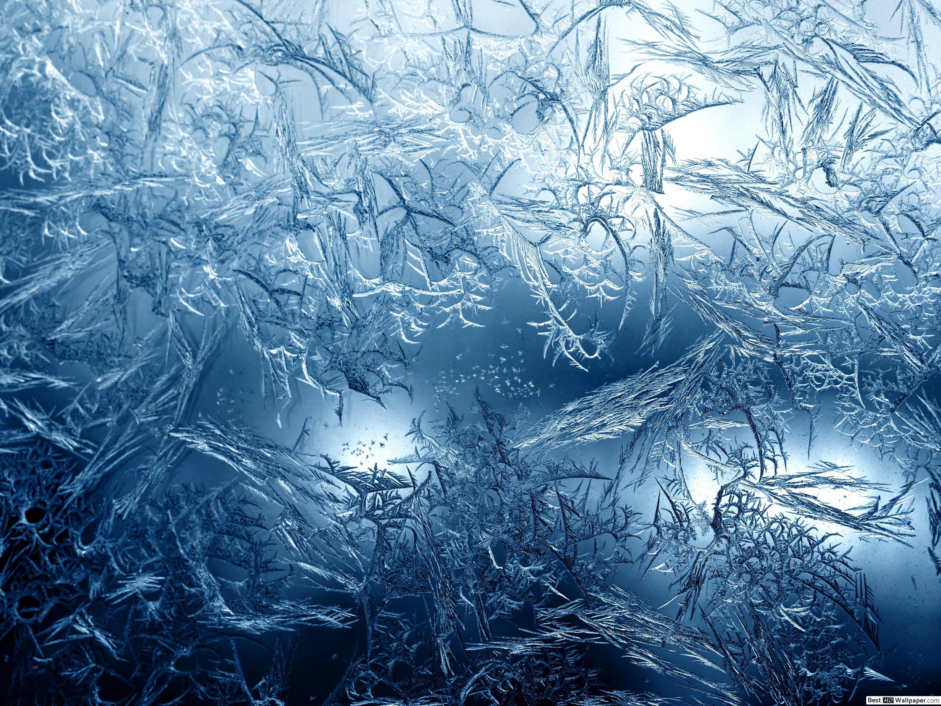 Ice Macro - HD Wallpaper 