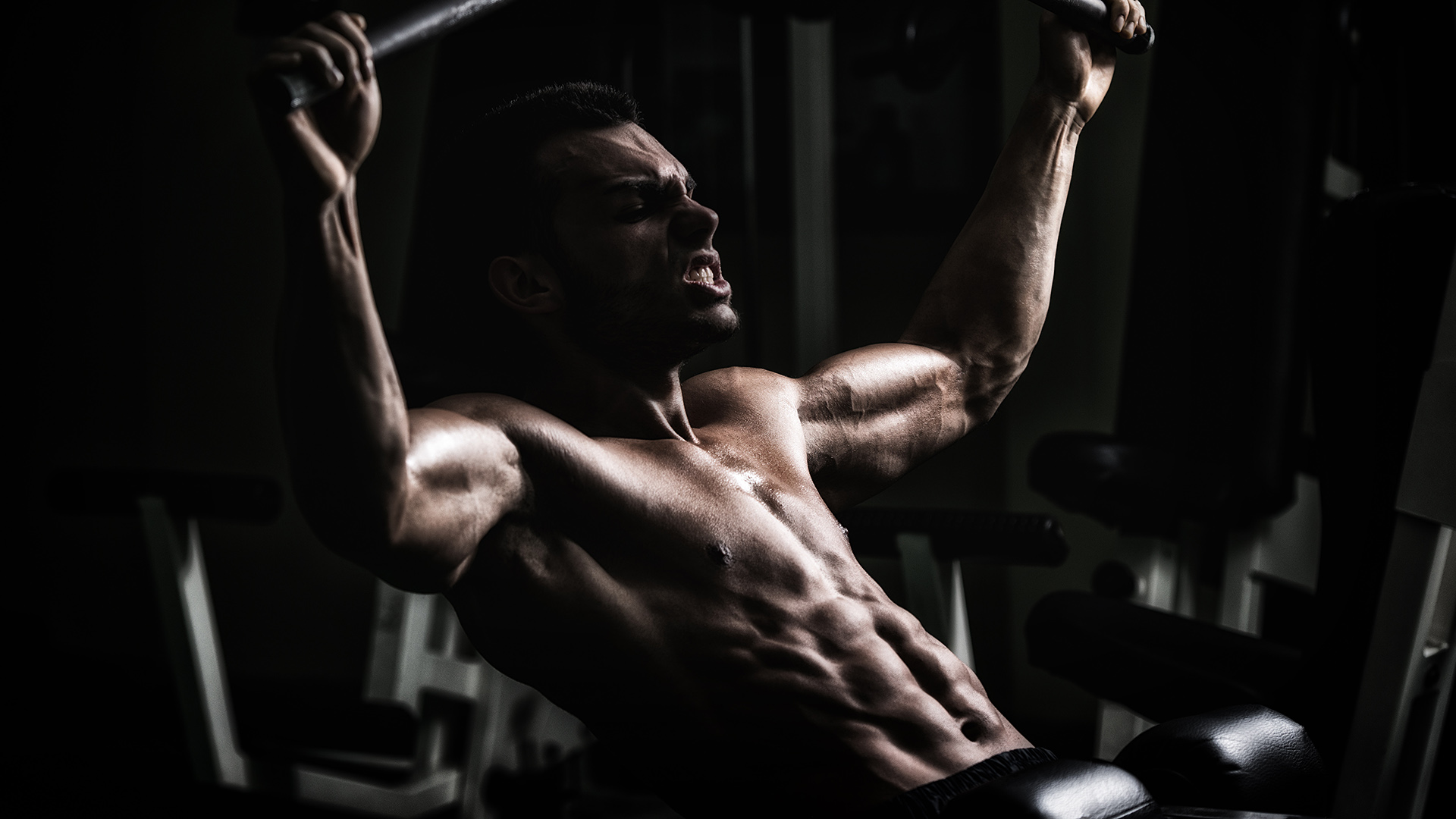 Gym Bodybuilder - HD Wallpaper 