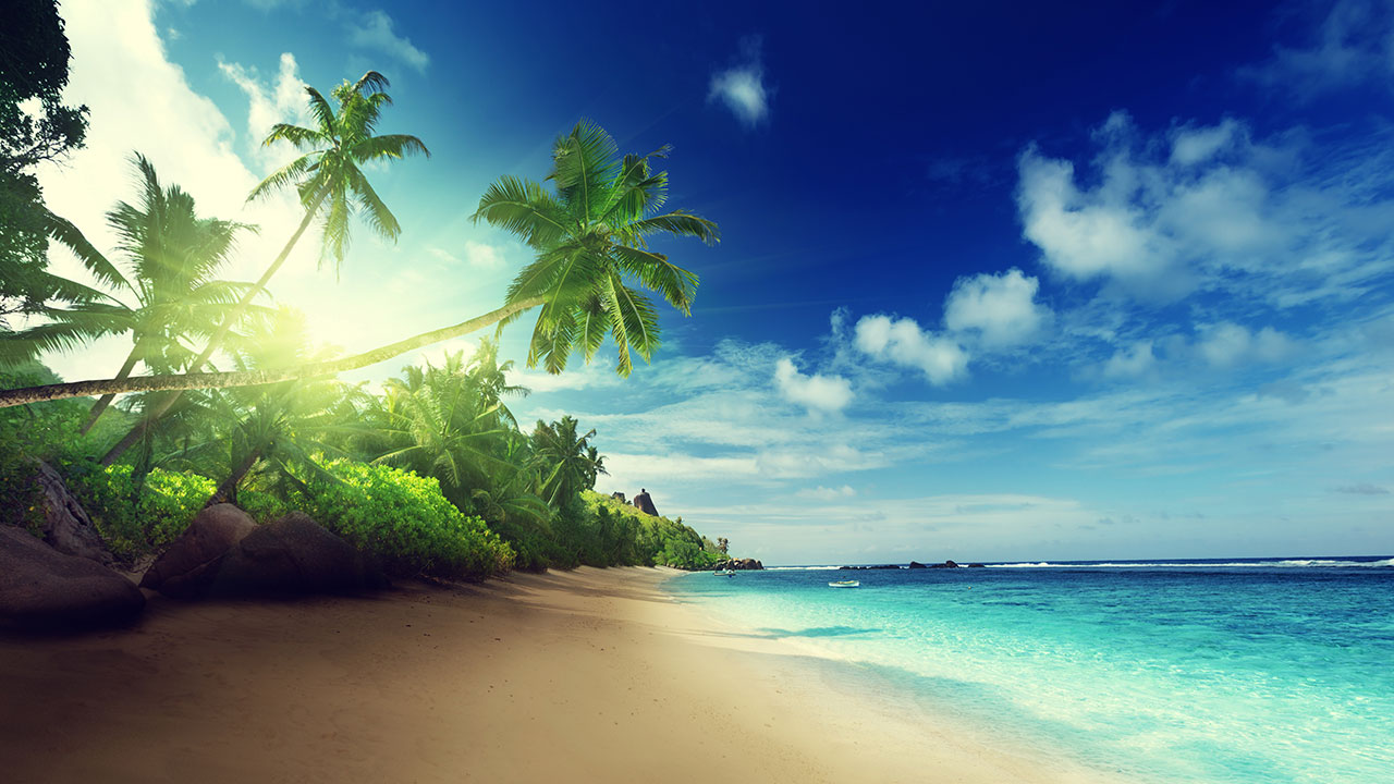 Beach Live - HD Wallpaper 