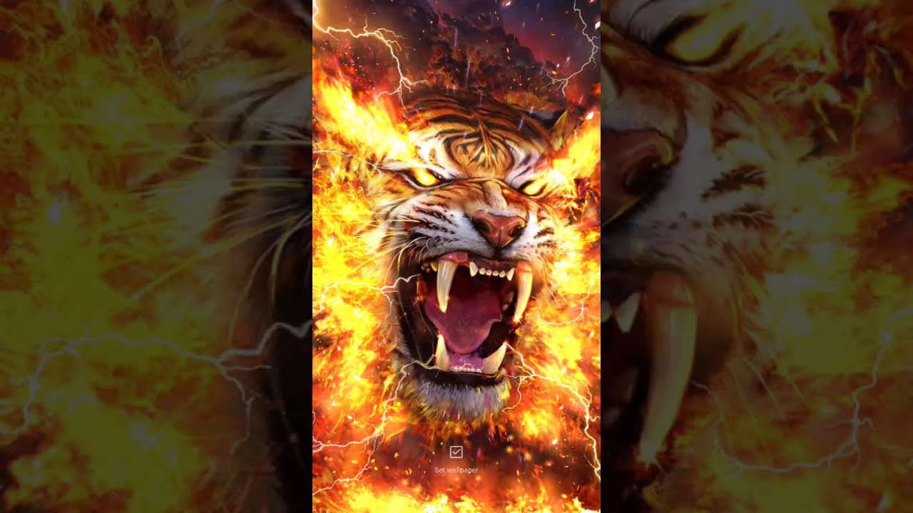 Angry Tiger With Fire - 1280x720 Wallpaper 