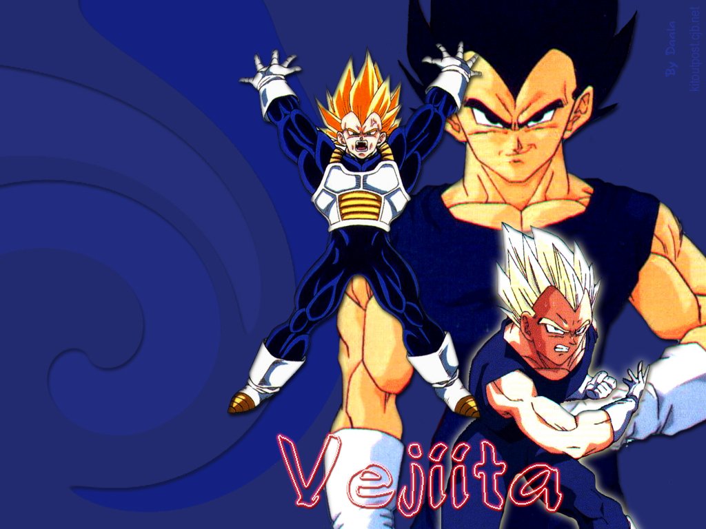 Dragonball Z Wallpapers - Vegeta - HD Wallpaper 