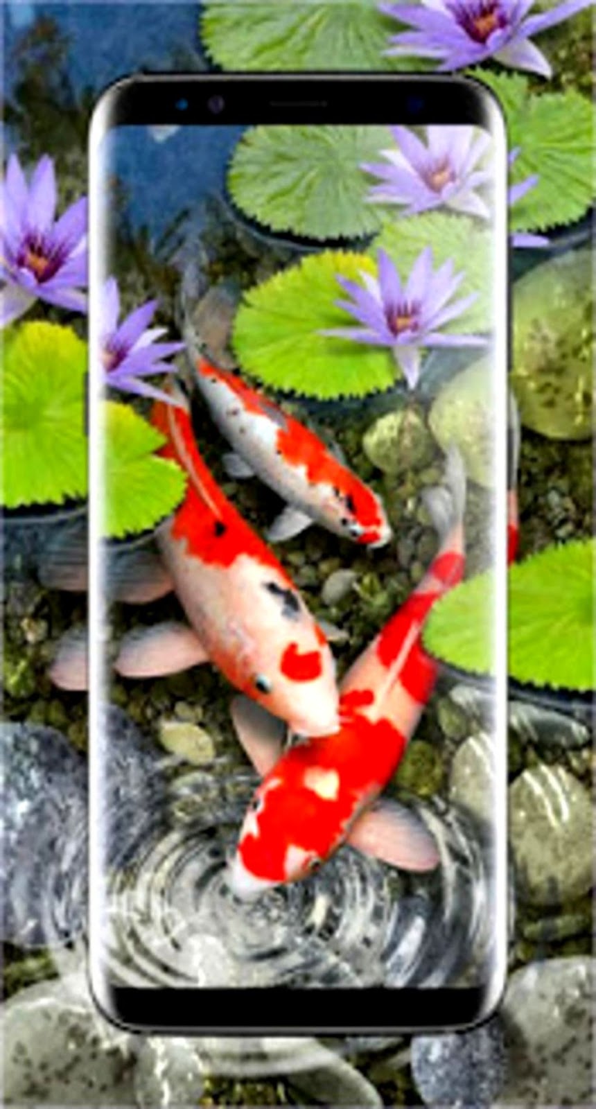 3d Koi Fish Wallpaper Hd 3d Fish Live Wallpapers For - Android 3d Live Wallpapers Download - HD Wallpaper 