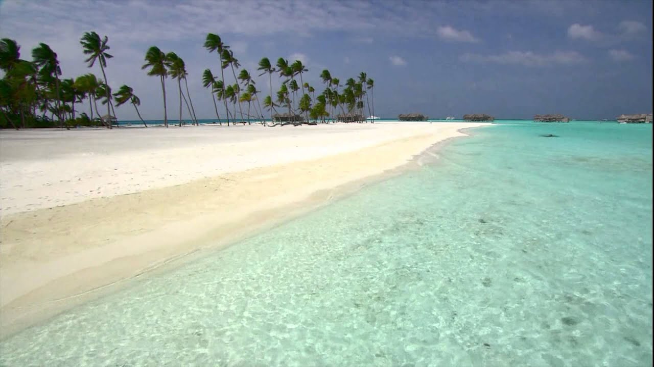 Beach Live - HD Wallpaper 