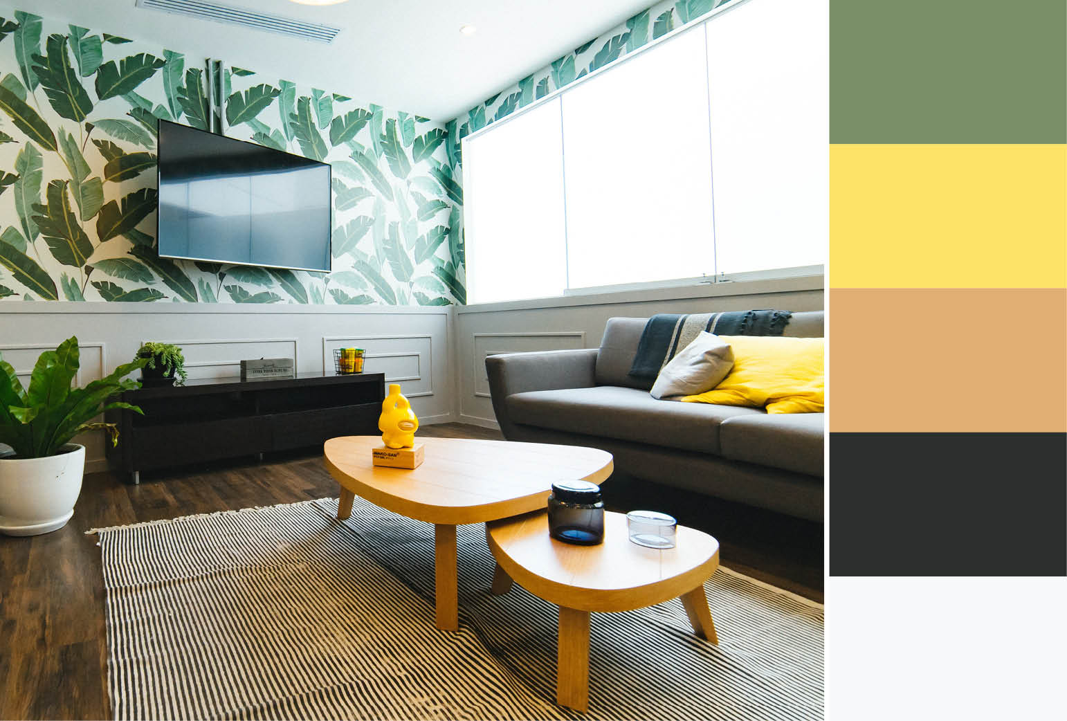 Palm Wallpaper Accent Wall - Living Room Green Accent Wall - HD Wallpaper 