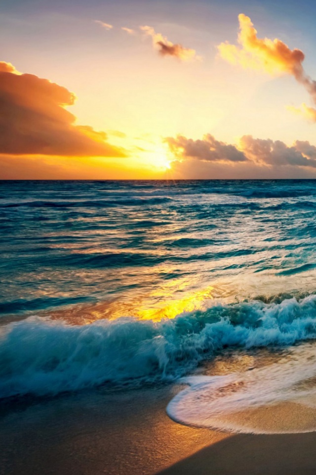 15++ Ocean Wallpaper Android App