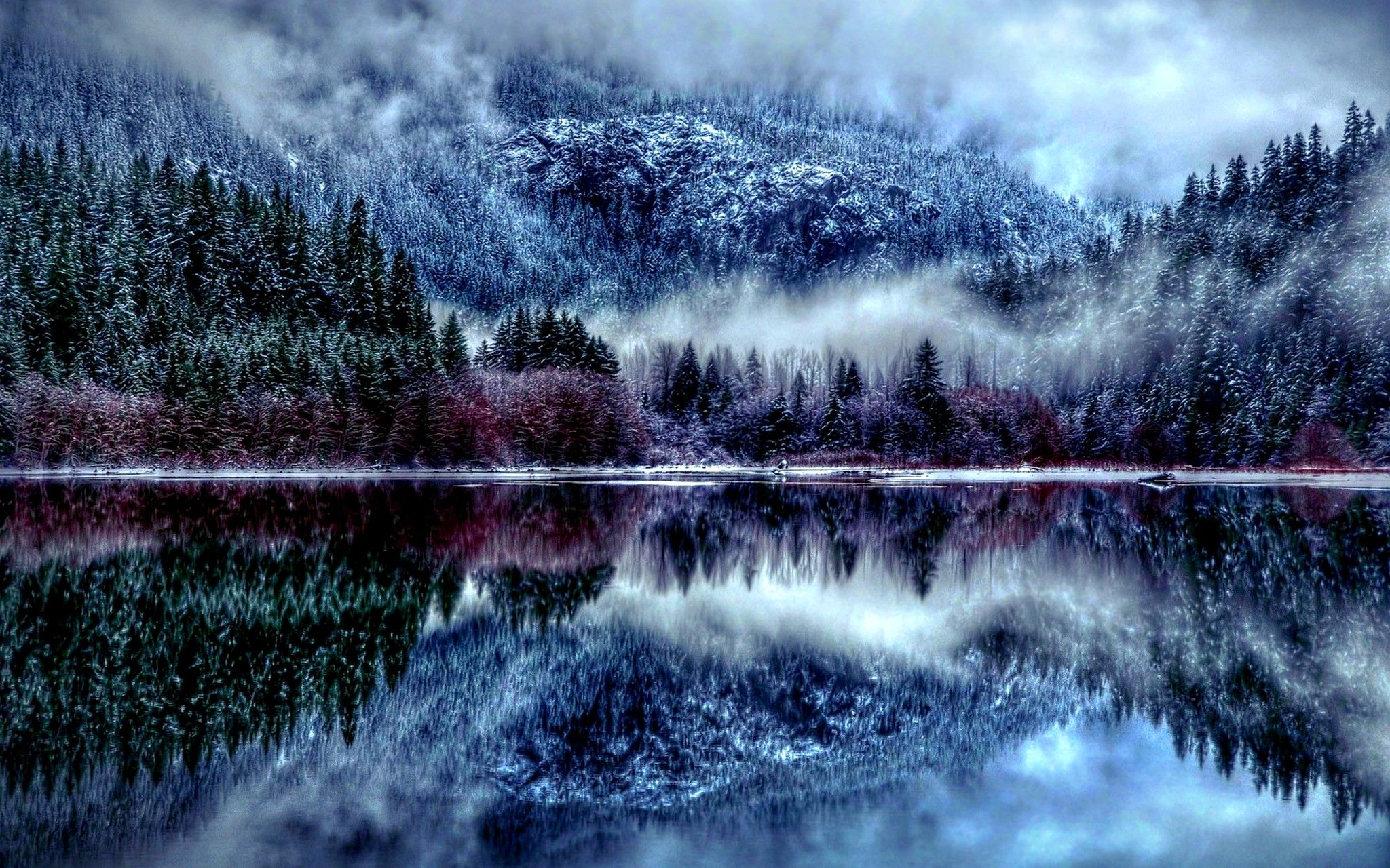 Beautiful Winter Forest Background - HD Wallpaper 