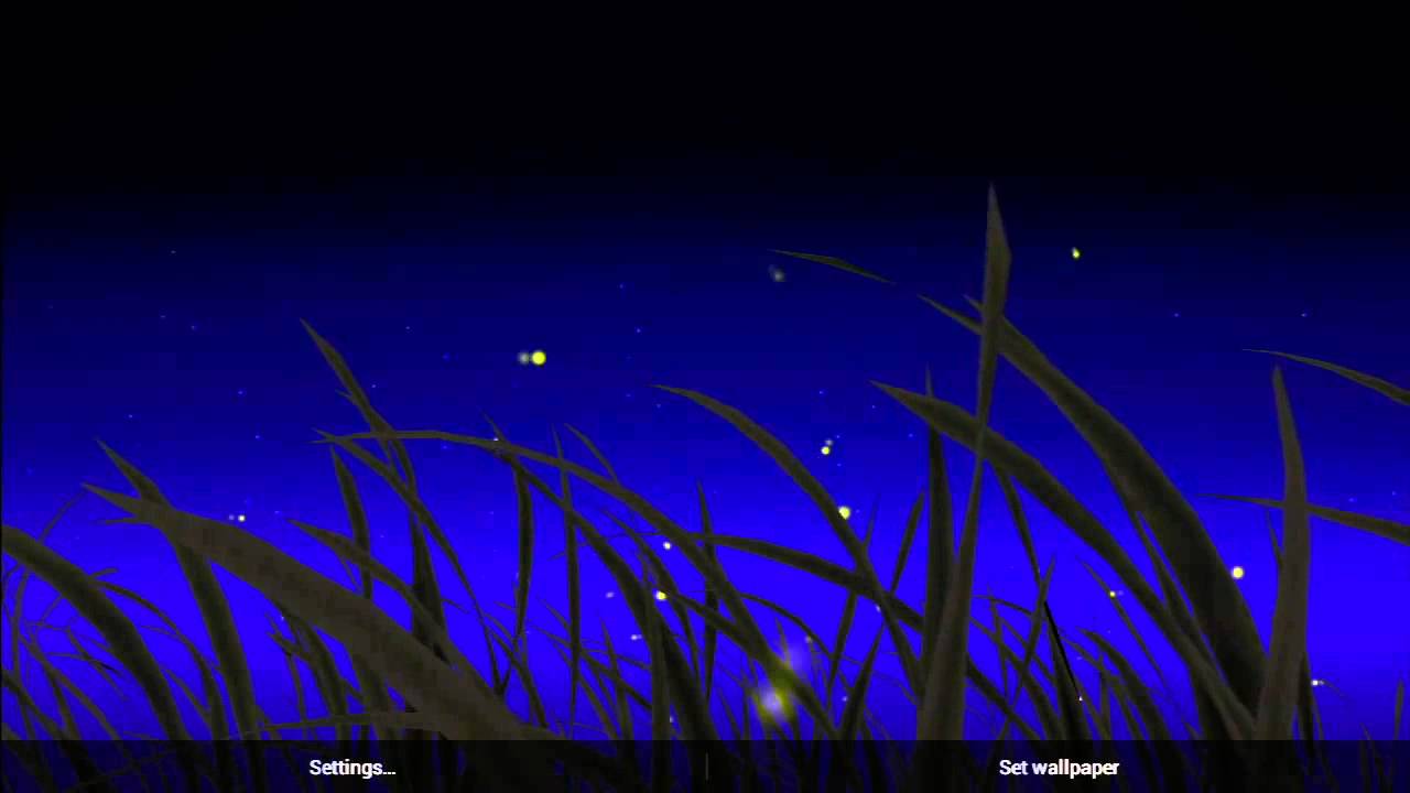 Firefly Background Moving - HD Wallpaper 