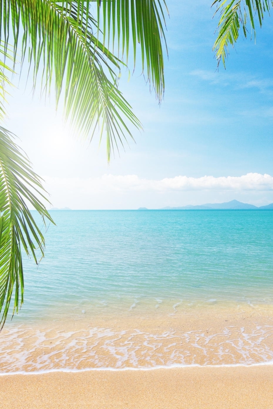 Tropical Beach Live Wallpaper Palm - Beach Wallpaper Portrait - 928x1391 Wallpaper Tropical Beach Live Wallpaper Palm - Beach Wallpaper Portrait - 928x1391 Wallpaper