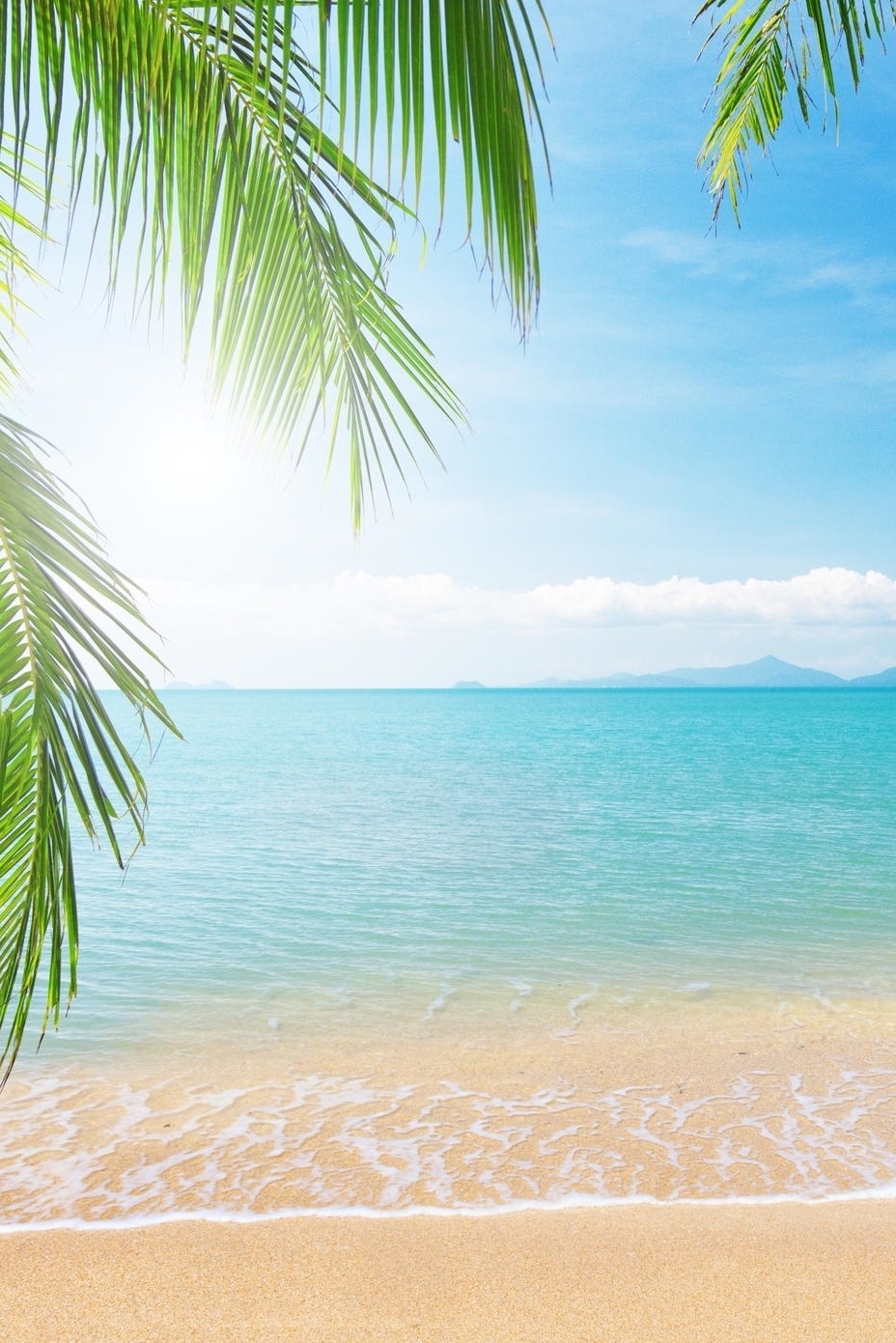 Tropical Beach Live Wallpaper Palm - Beach Wallpaper Portrait - HD Wallpaper 