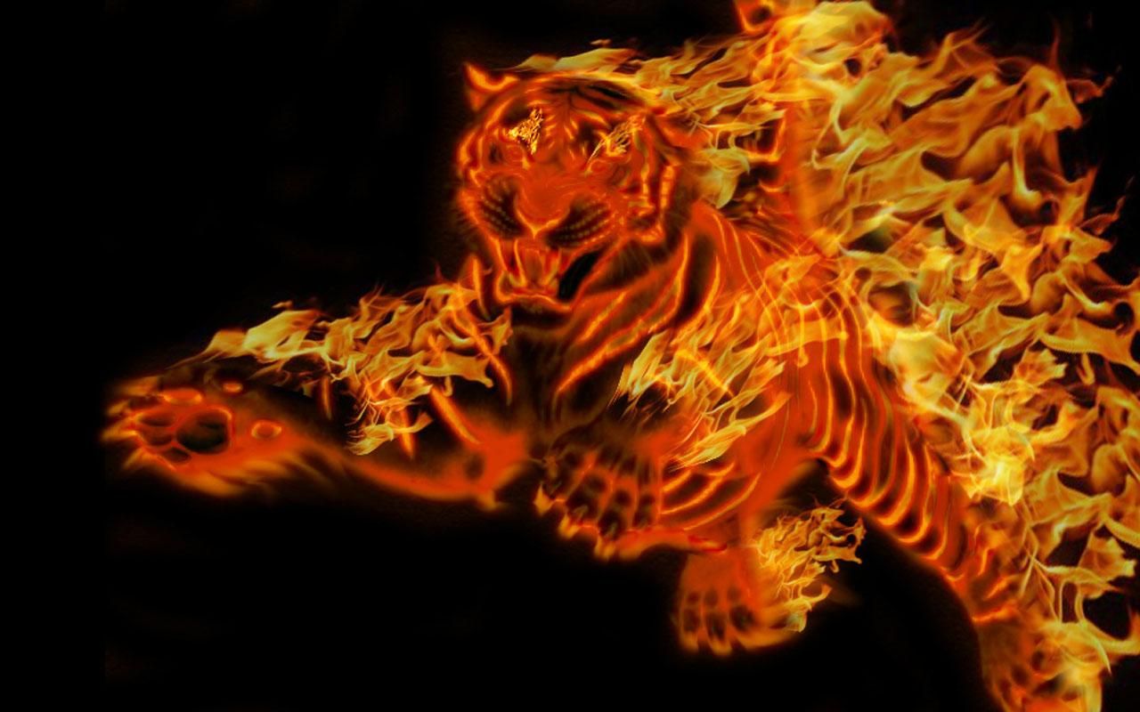 Cool Wallpaper Red Tiger - HD Wallpaper 