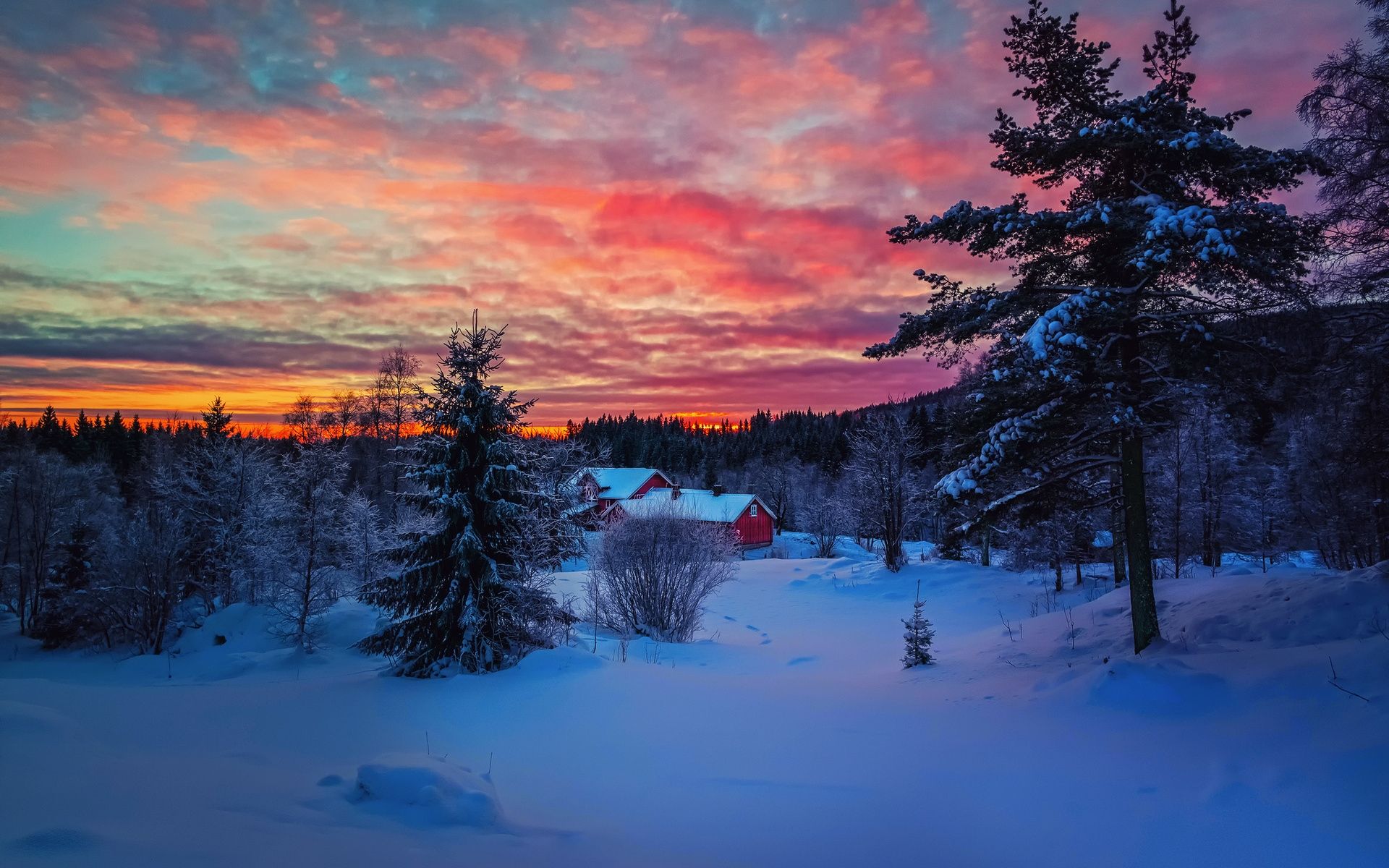 Winter Sunset - HD Wallpaper 