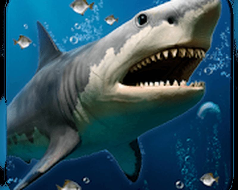 Imagen 3d Ocean Live Wallpaper For Free 0big - Snake Halal Or Haram - HD Wallpaper 