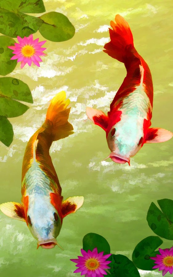Koi Fish Free Live Wallpaper - Mobile Beautiful Wallpaper Hd - 562x900 Wallpaper Koi Fish Free Live Wallpaper - Mobile Beautiful Wallpaper Hd - 562x900 Wallpaper