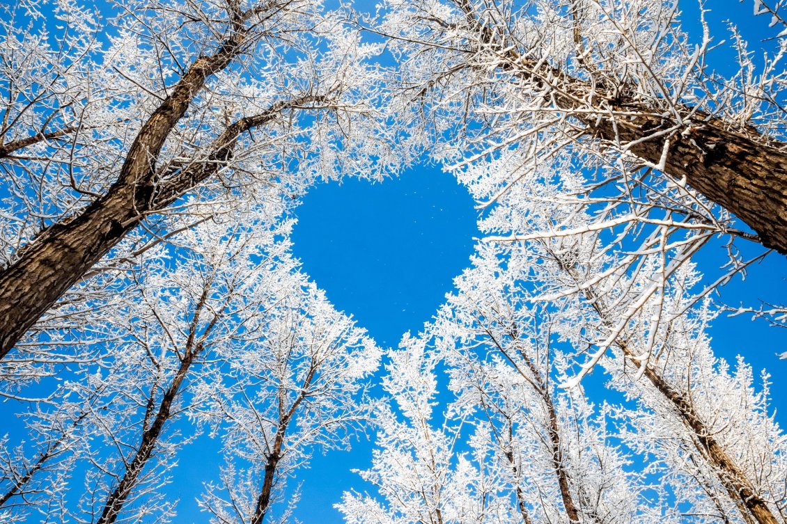 Download Wallpaper Blue Heart On The Sky - Winter Heart - HD Wallpaper 