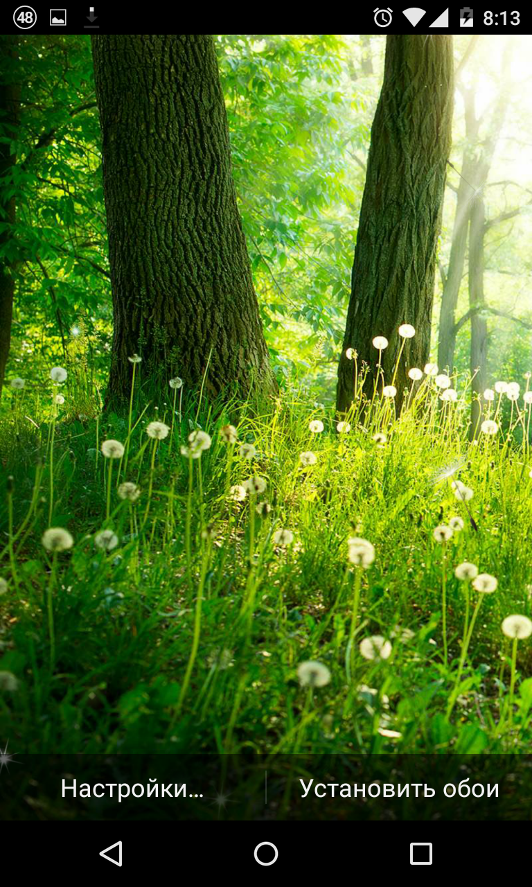 Forest Live Wallpaper Hq - Buneary Pokemon Go Shiny - HD Wallpaper 