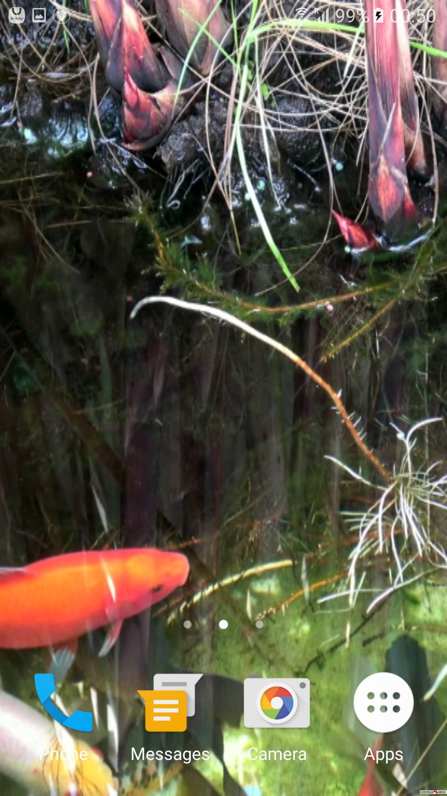 Koi Free Live Wallpaper - HD Wallpaper 