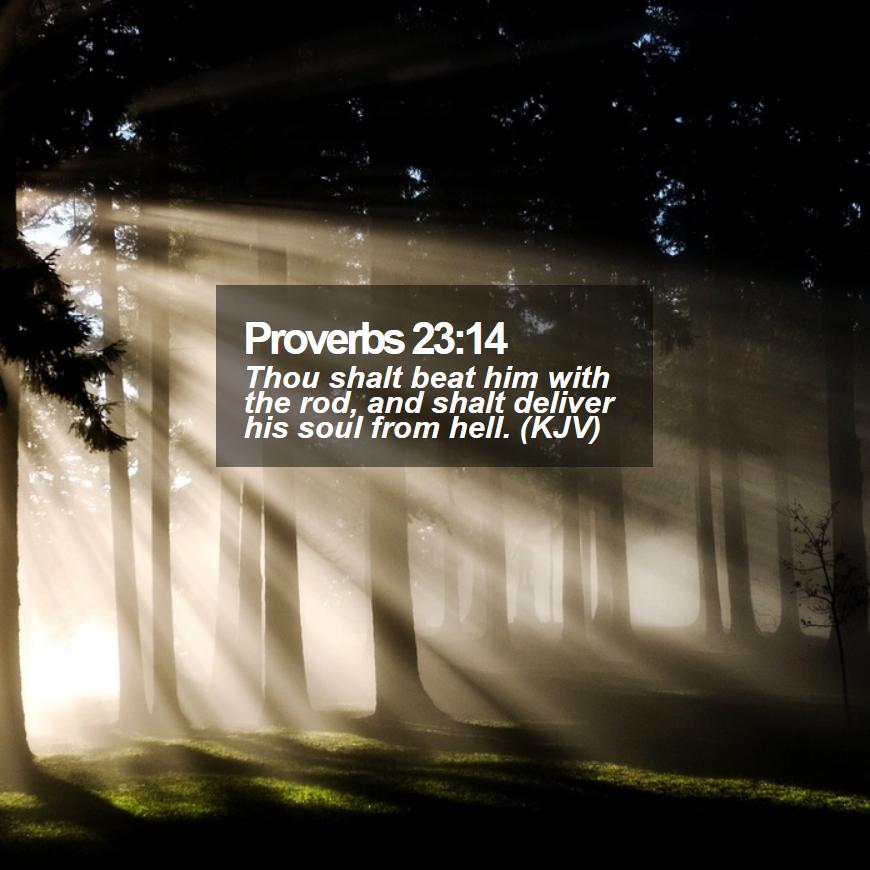 Light Shining Through Fog - HD Wallpaper 