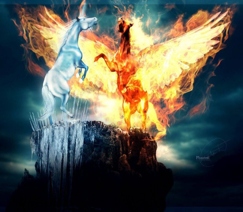 Fire & Ice Live Wallpaper Apk - Fire And Ice Love - 810x709 Wallpaper -  