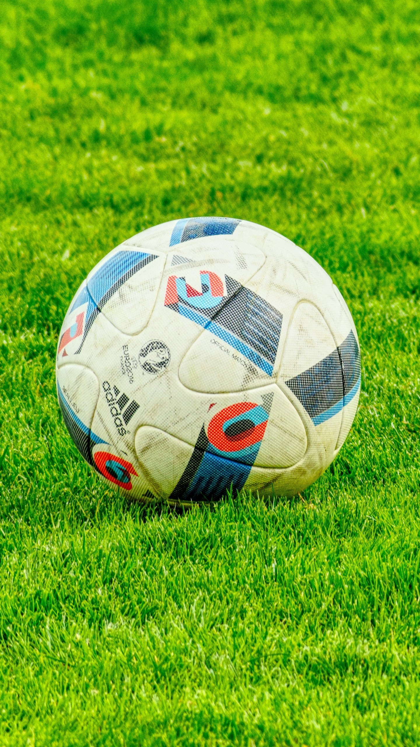 Ball Football Lawn Grass Wallpaper - Full Hd Wallpapers For Mobile Free Download - 1440x2560 Wallpaper Ball Football Lawn Grass Wallpaper - Full Hd Wallpapers For Mobile Free Download - 1440x2560 Wallpaper