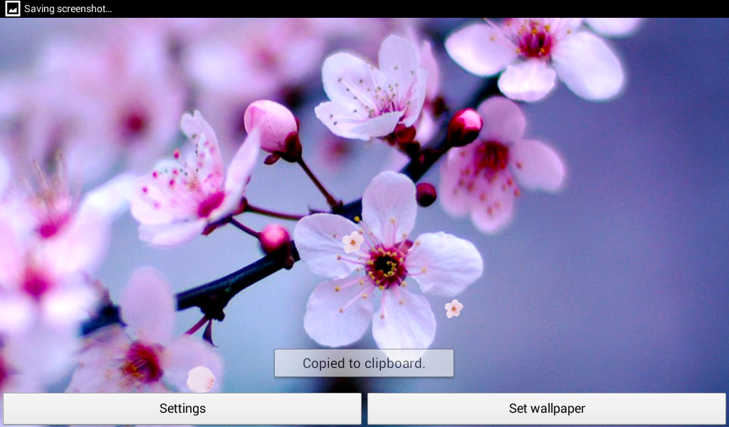 Beautiful Flowers For Cover - HD Wallpaper 