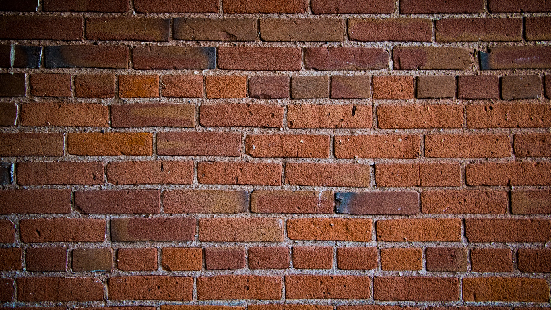 Wallpaper Wall, Bricks, Texture - Texture Bricks - HD Wallpaper 