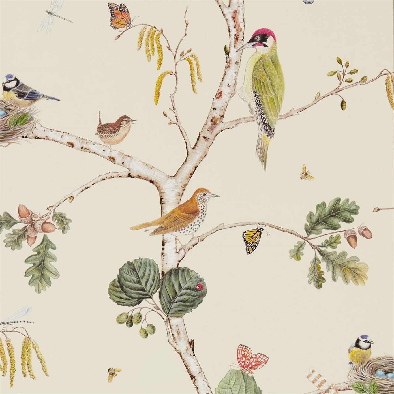 Woodland Chorus, A Wallpaper By Sanderson, Part Of - Little Greene Great Ormond Street - HD Wallpaper 
