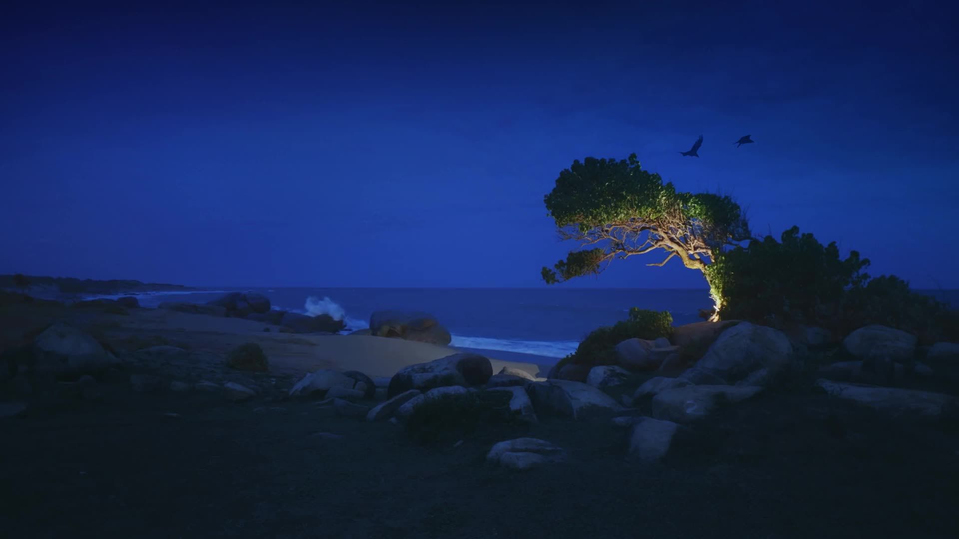 8k Wallpaper Sri Lanka - HD Wallpaper 