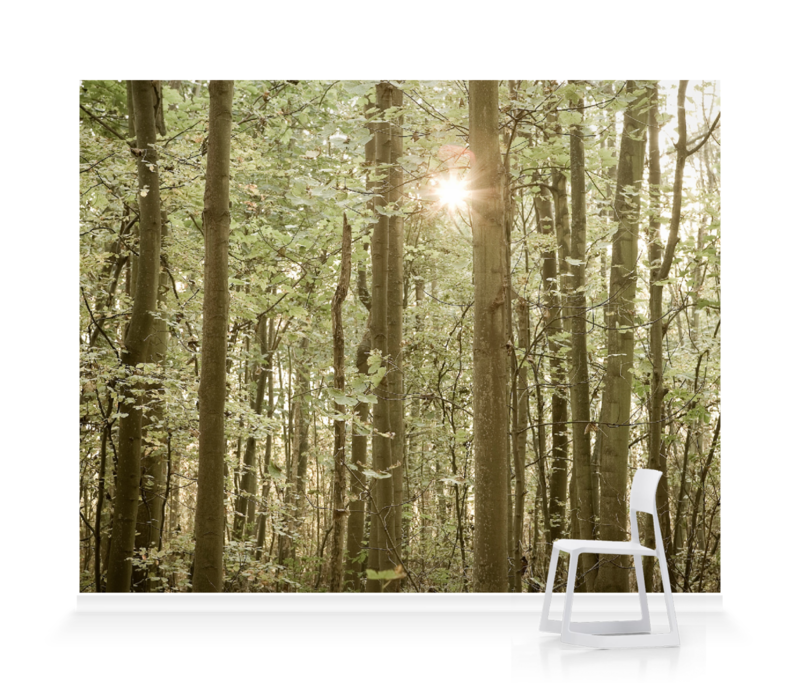 Woodland Canvas - HD Wallpaper 