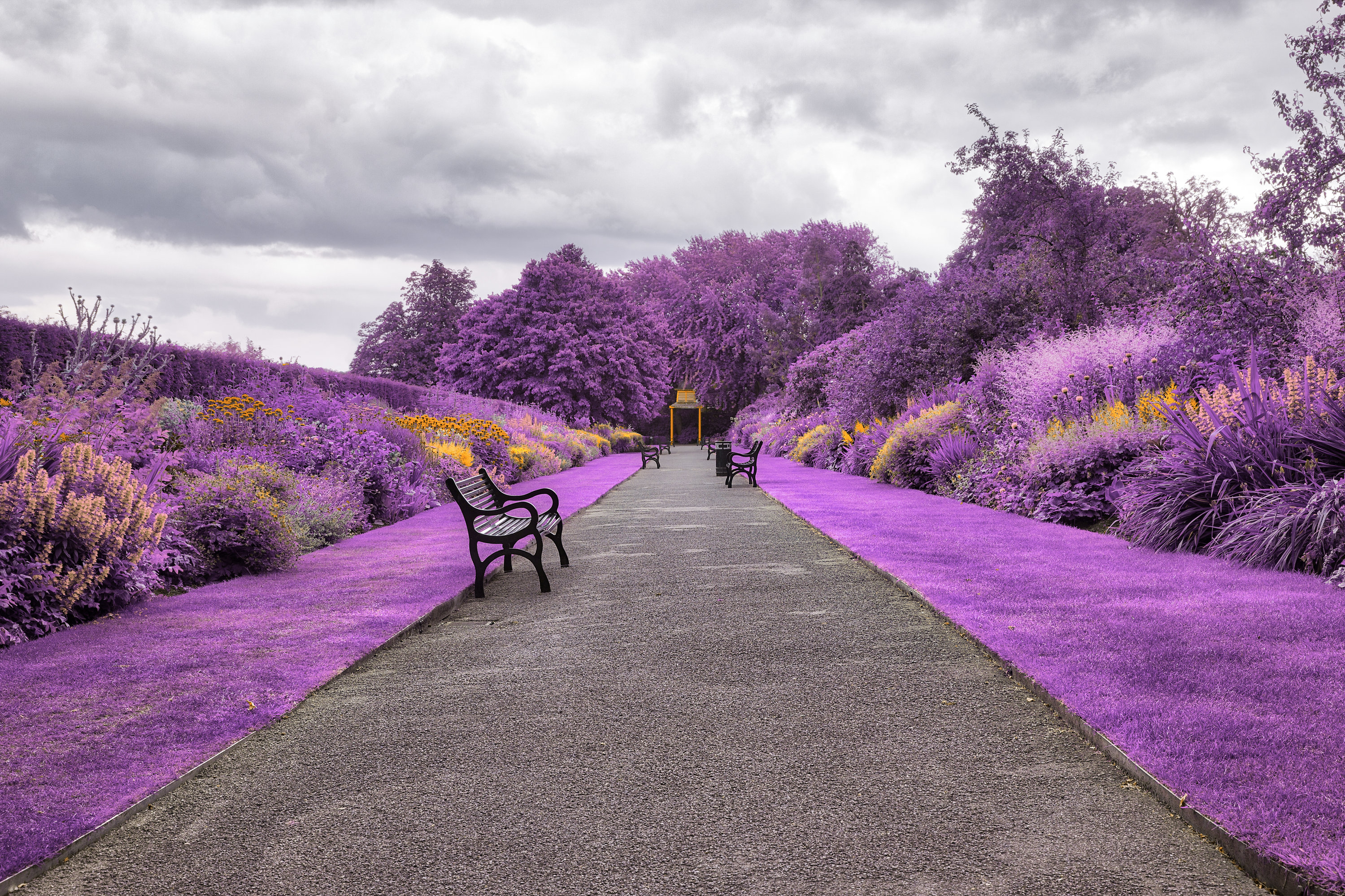 Botanic Gardens Northern Ireland - HD Wallpaper 