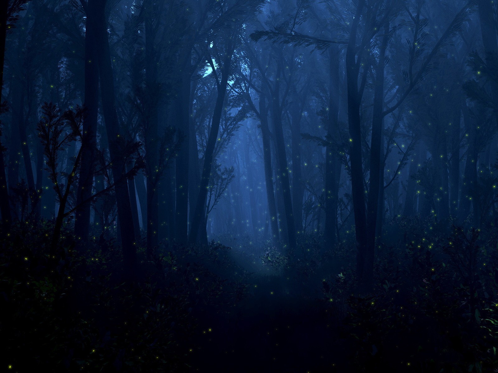 Forest Live Wallpaper - HD Wallpaper 
