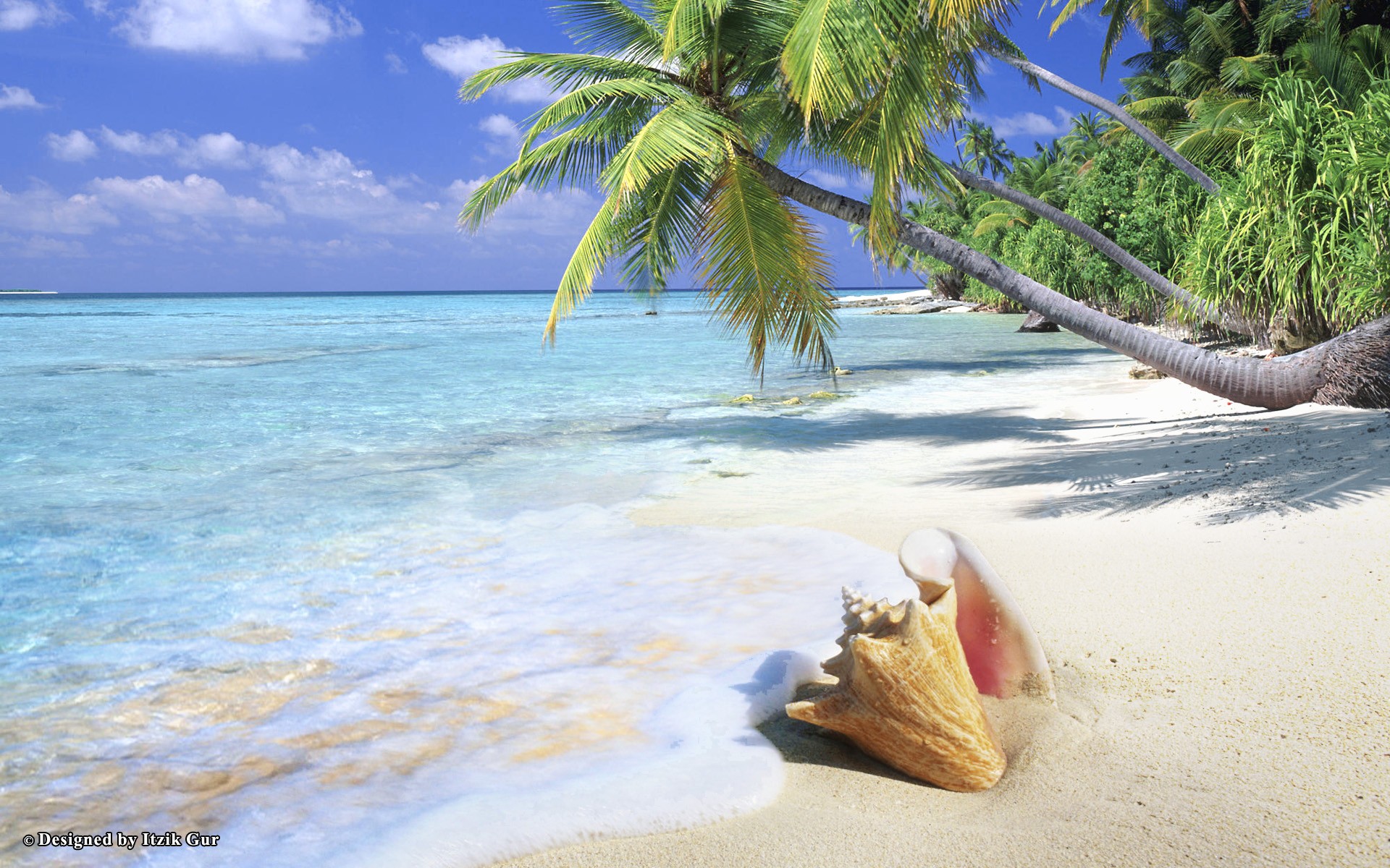 Ocean Live Wallpaper For Windows - High Resolution Tropical Beach Background - HD Wallpaper 