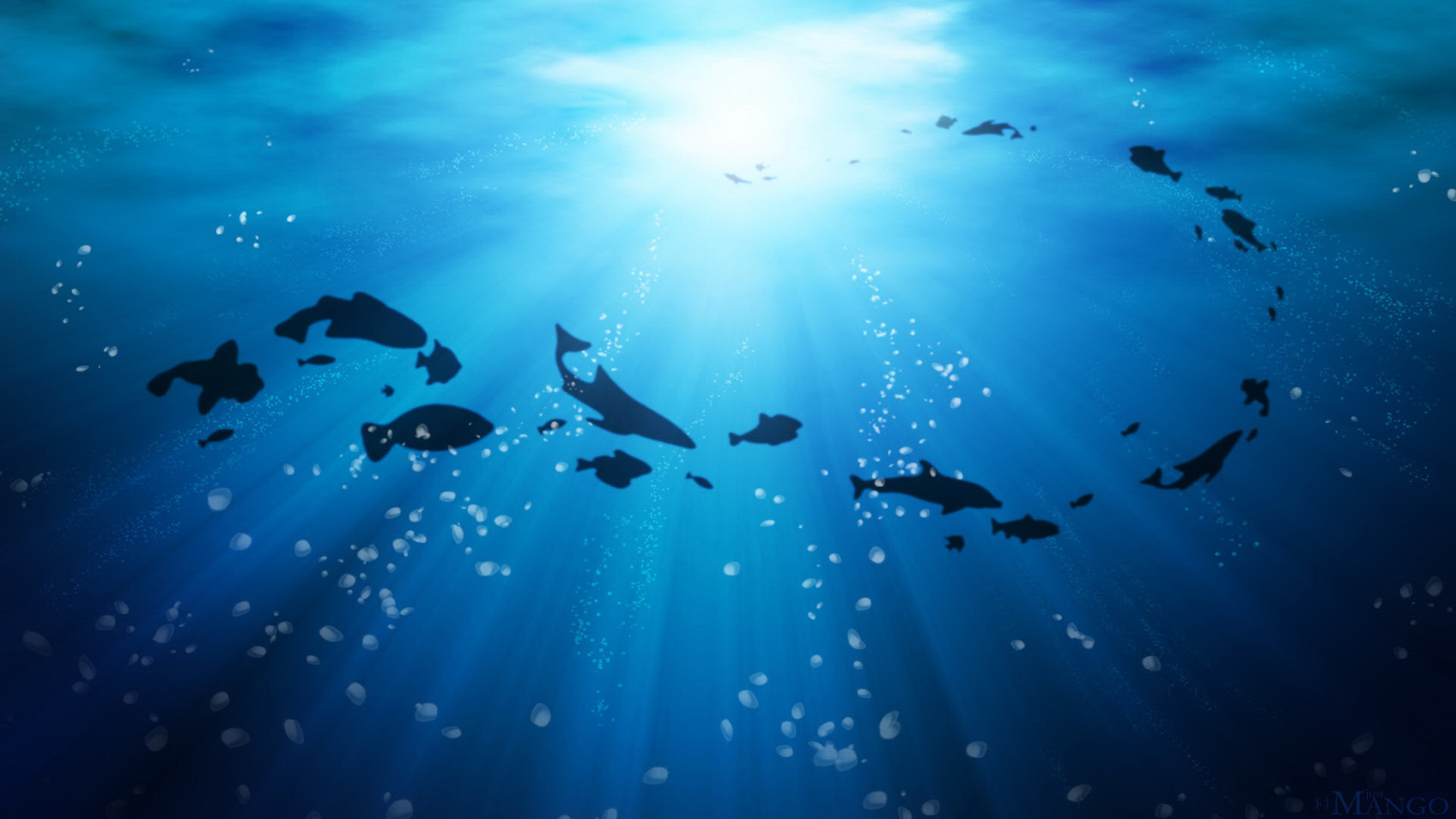 Deep Sea Live Wallpaper - Under Ocean Wallpaper Hd - 1820x1024