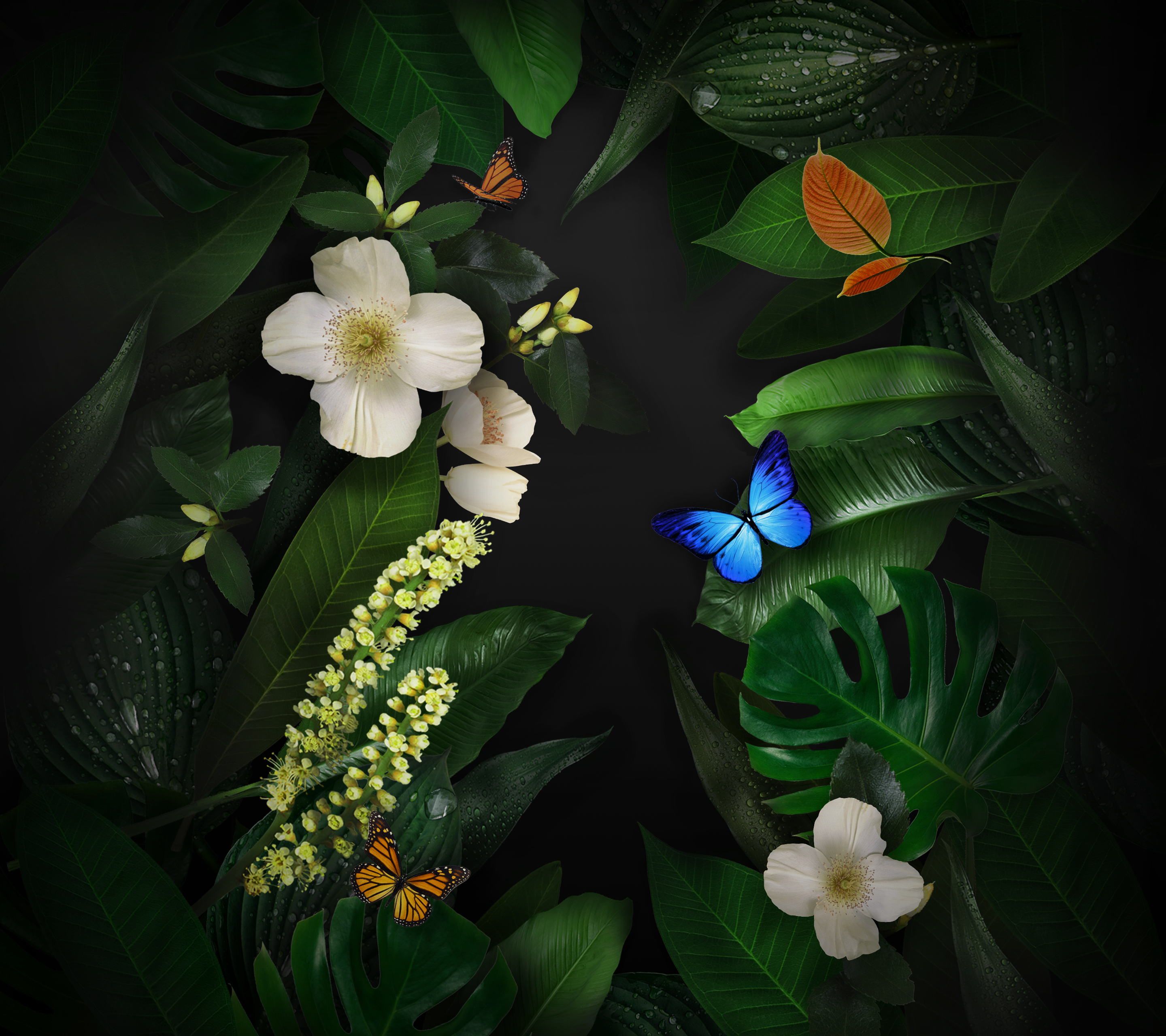Huawei Mate 10 Pro - HD Wallpaper 