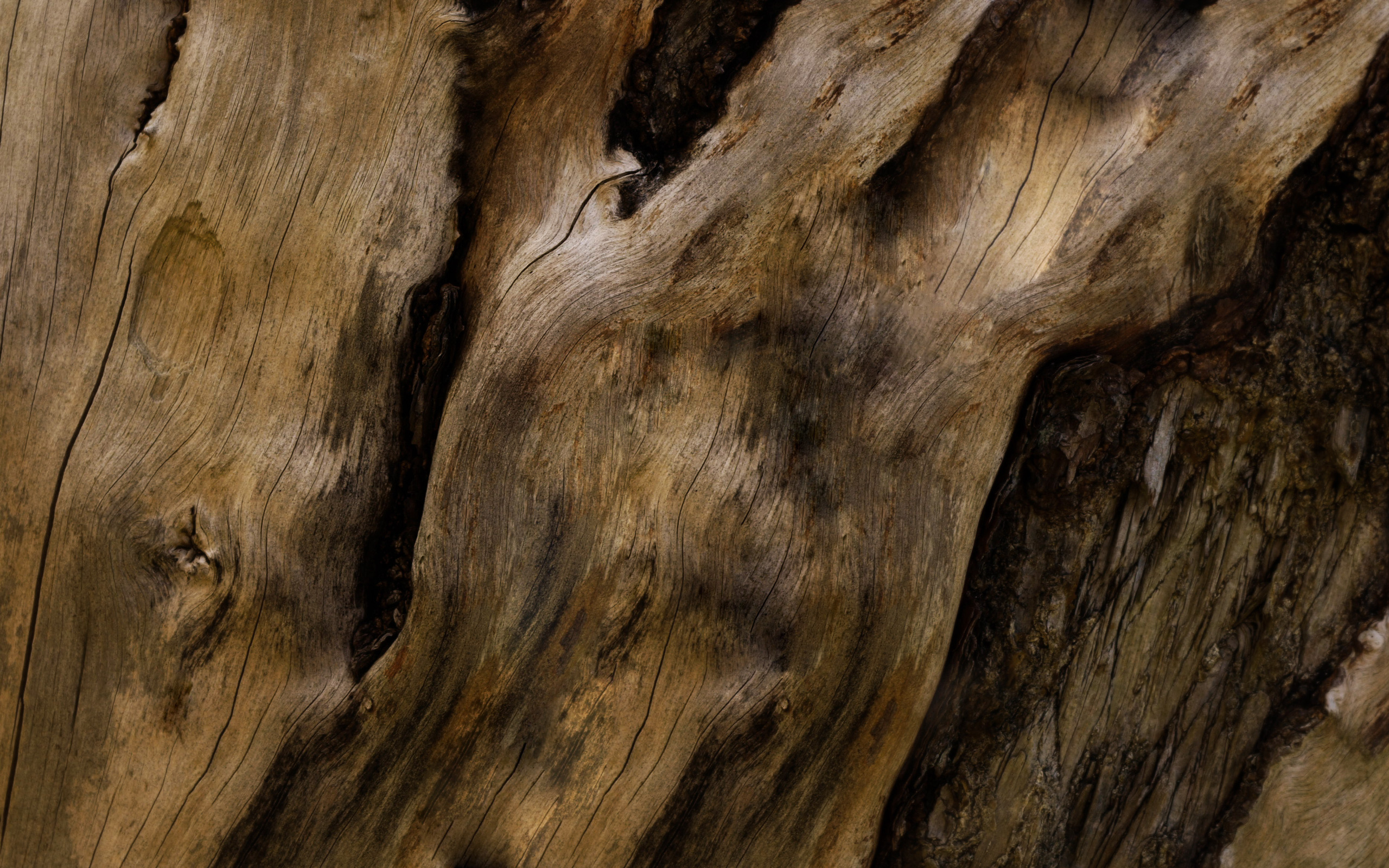 Wood Wallpaper Hd - HD Wallpaper 