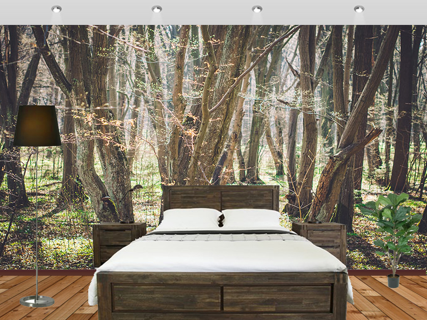 Woodland Wall Mural A Woodland Is Wasteland Wallpaper - Bedroom Woodland - HD Wallpaper 