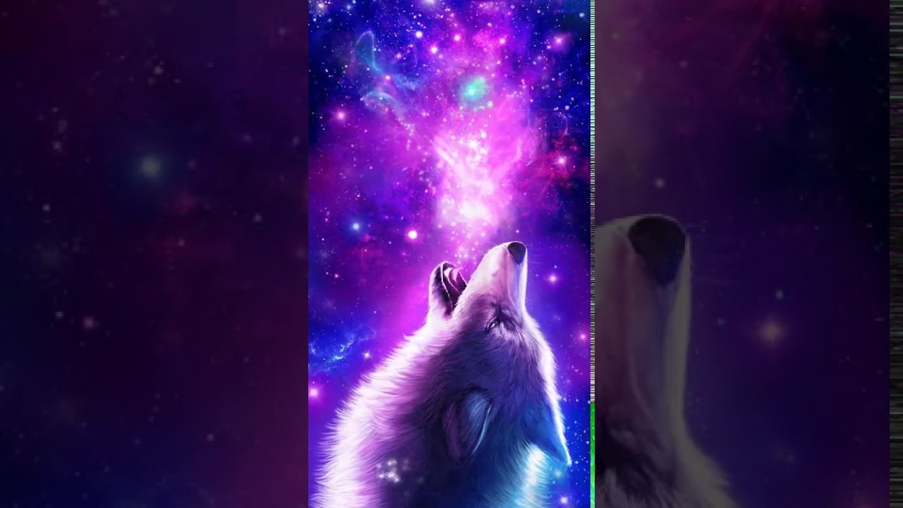 Galaxy Cool Wolf Backgrounds - HD Wallpaper 